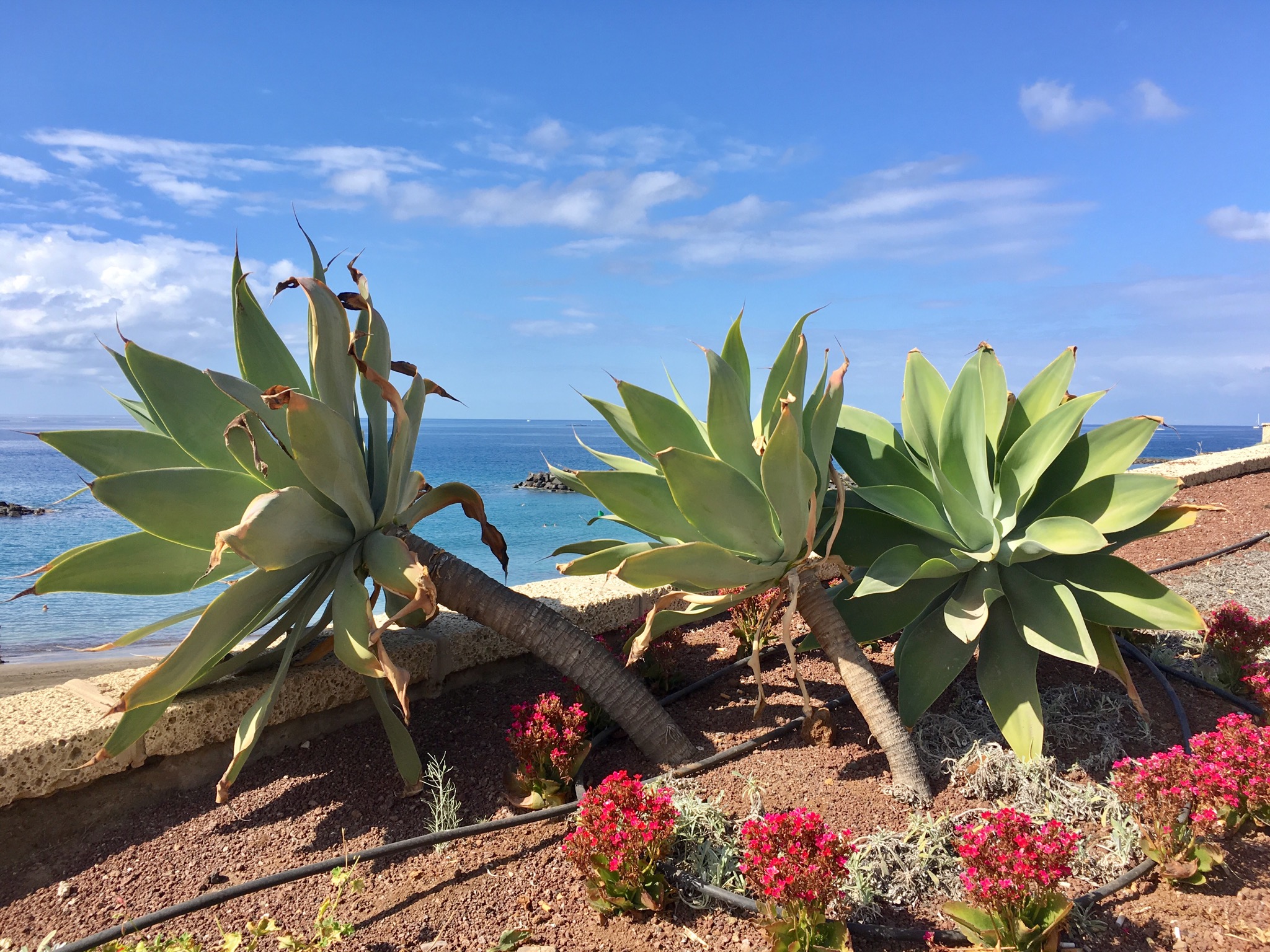 Bahia del Duque y la Caleta