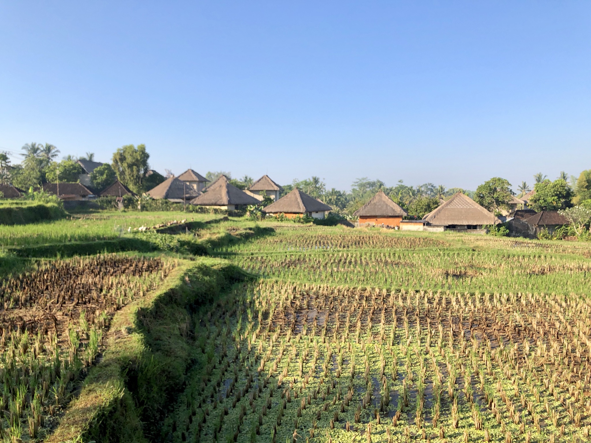 Ubud