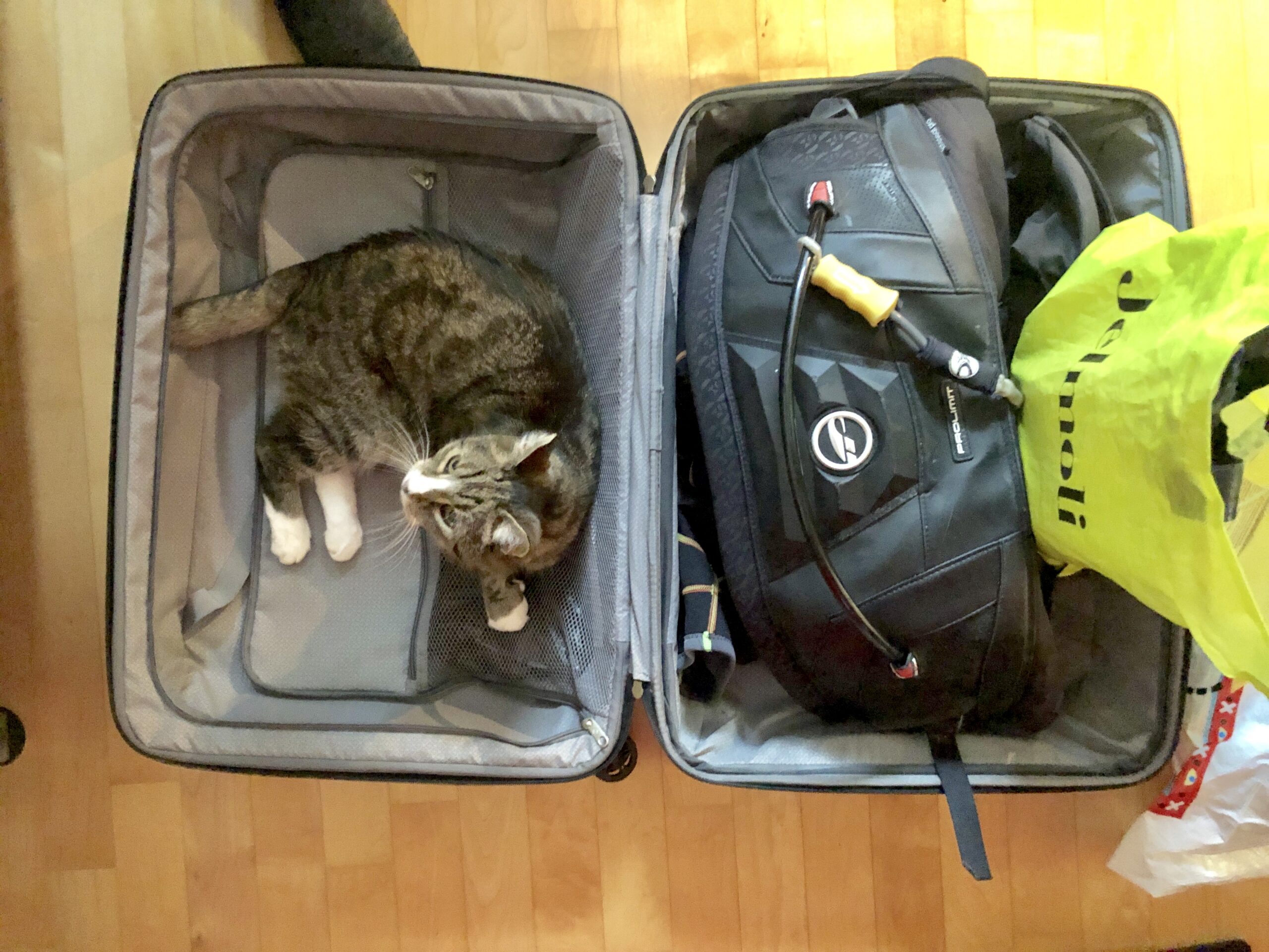 Packen für die Ferien
