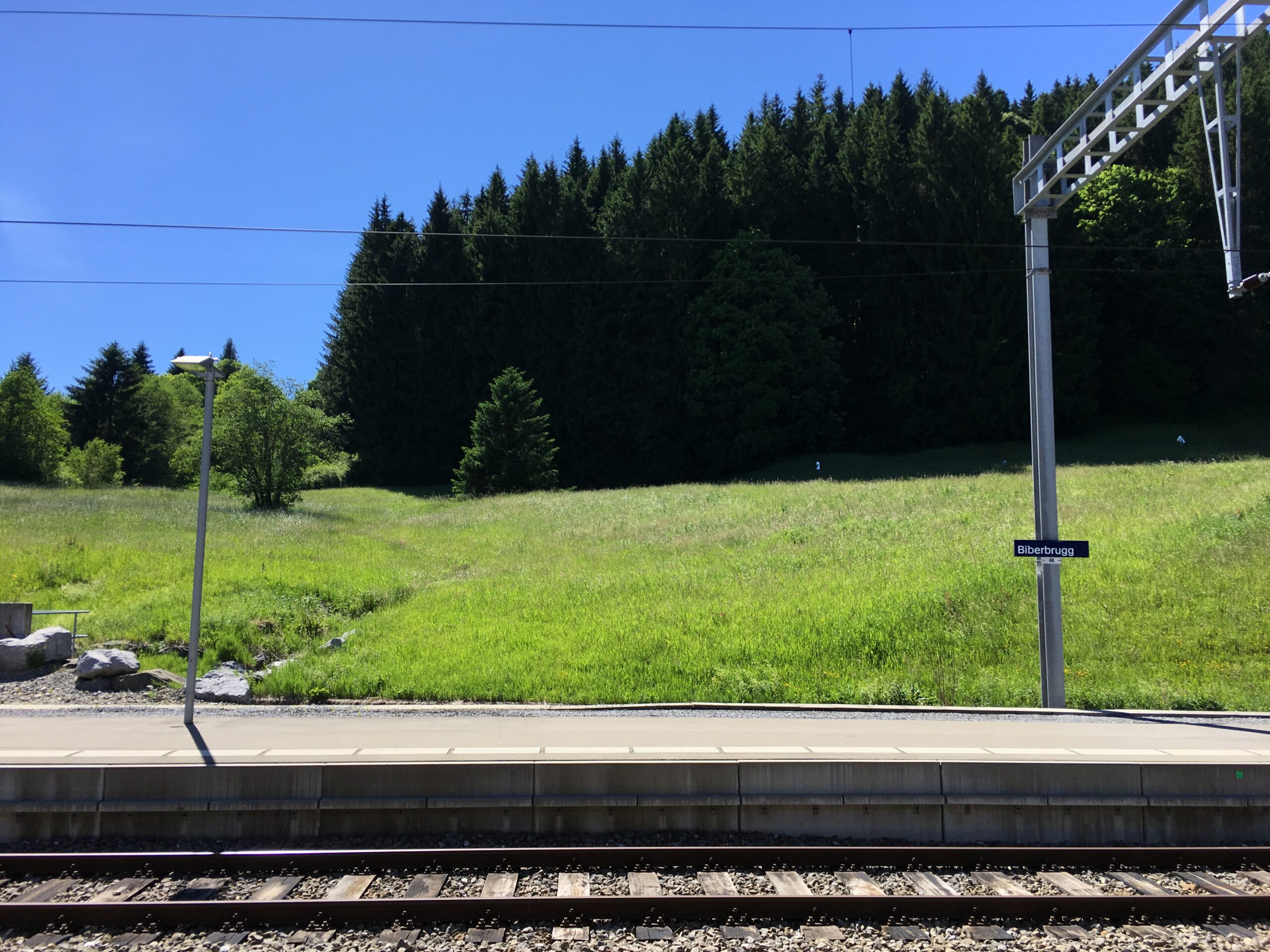 Wollerau-Torino