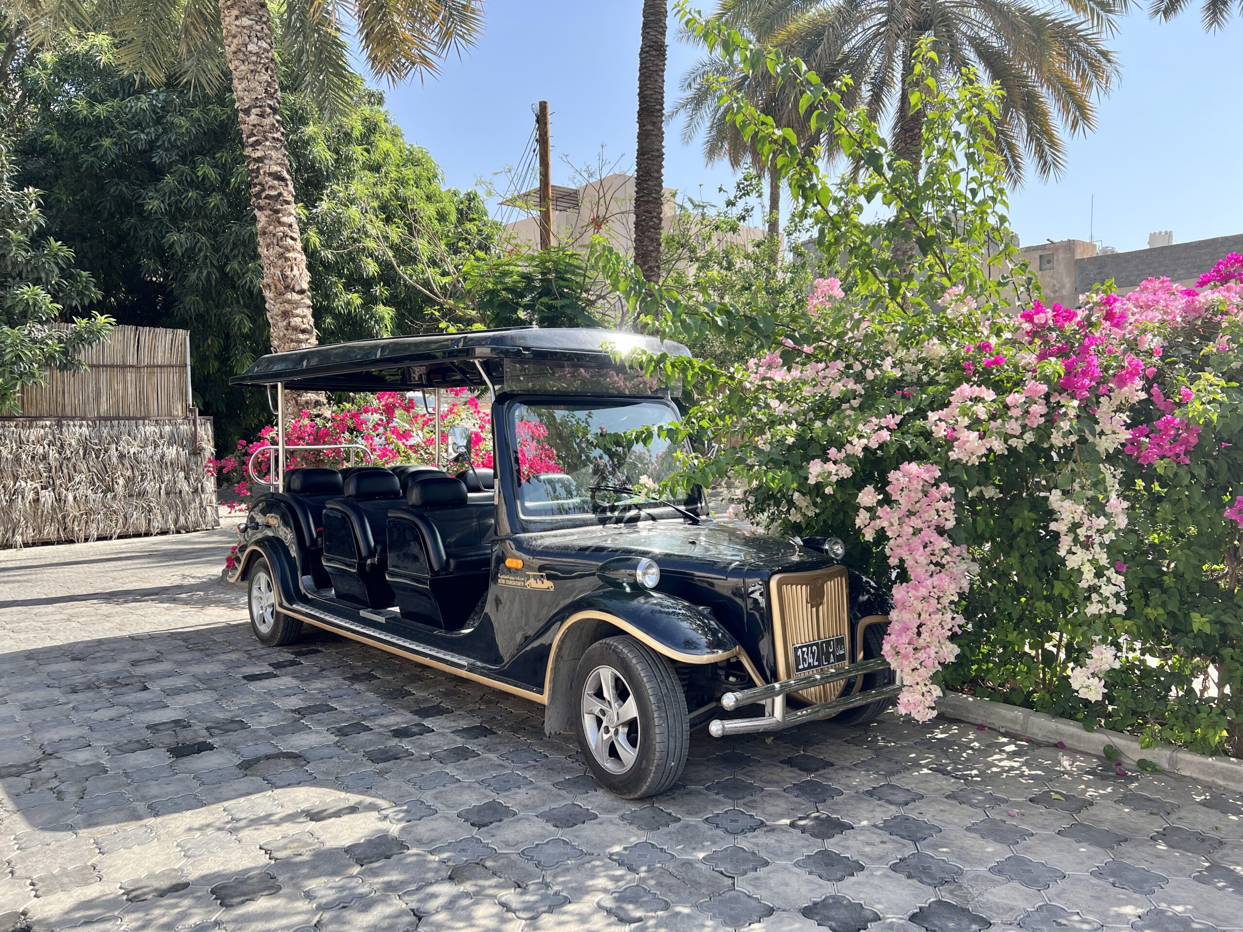 Nizwa – Jabrin – Jebel Shams – Al-Jabal Akhdar