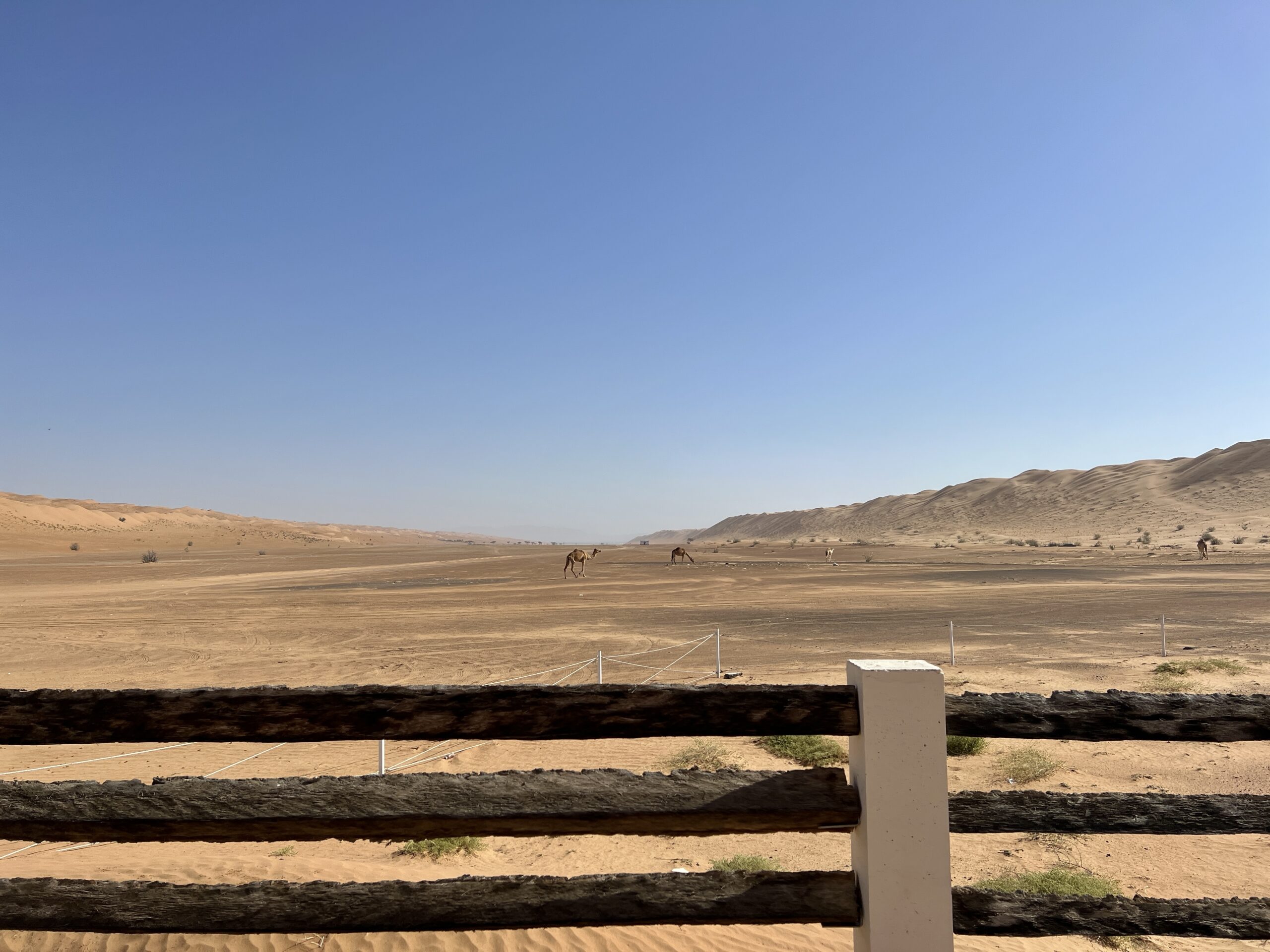 Wahiba Sands – Sur