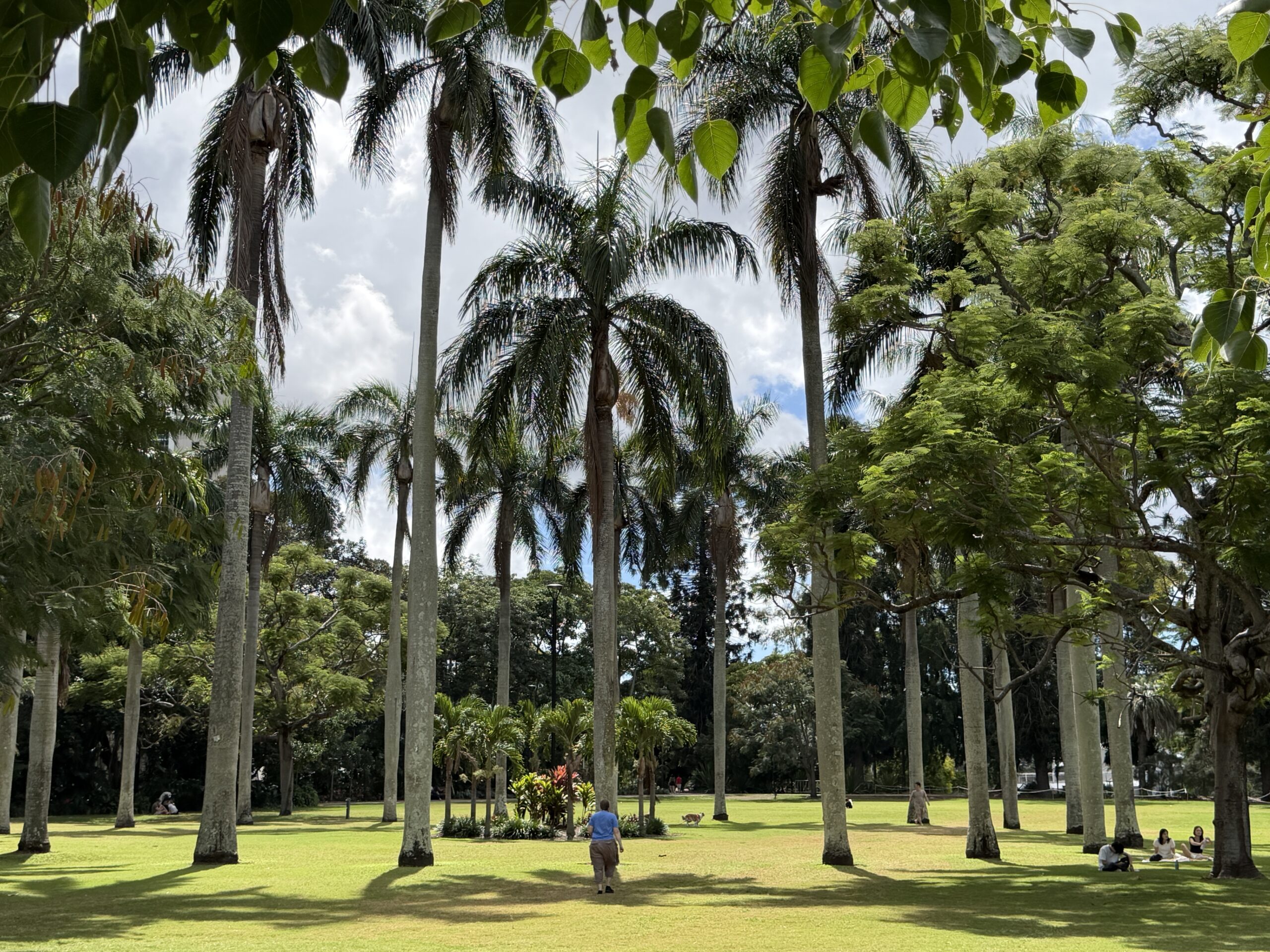 Brisbane – Botanical Garden – Sunshine Coast – Peregian Beach