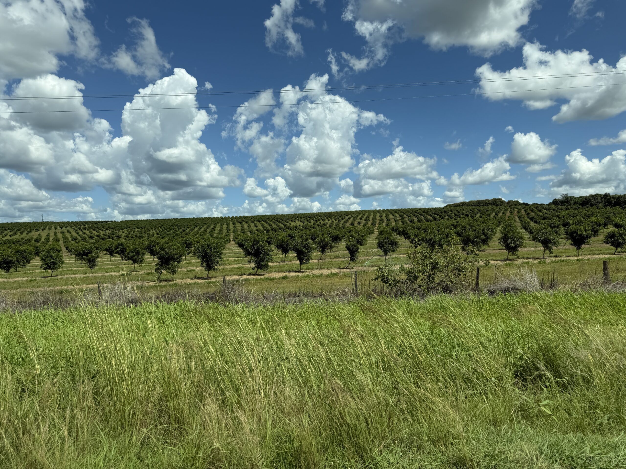 K’gari – Agnes Water