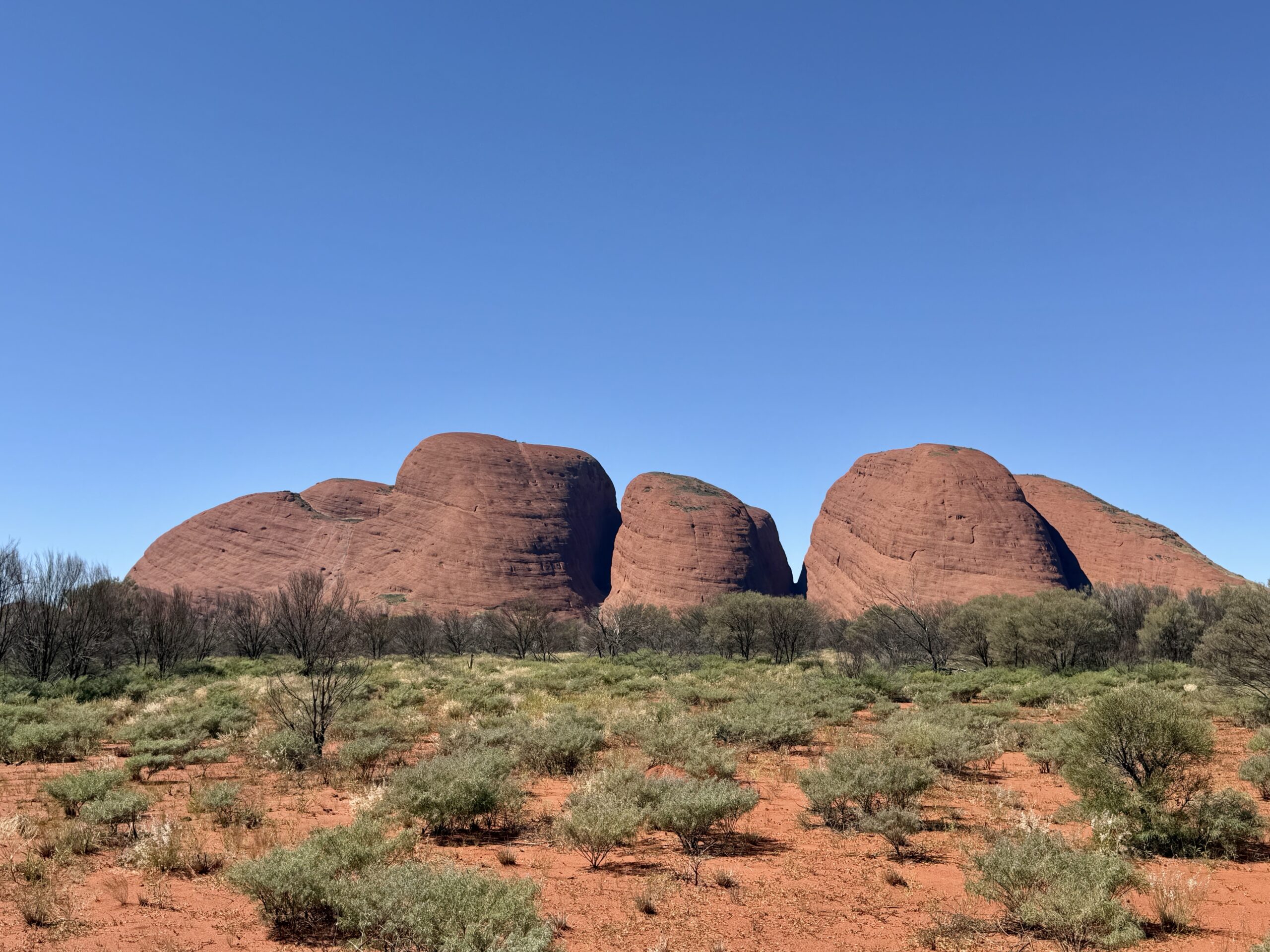 Yulara / Kata Tjuta – Erldunda Roadhouse