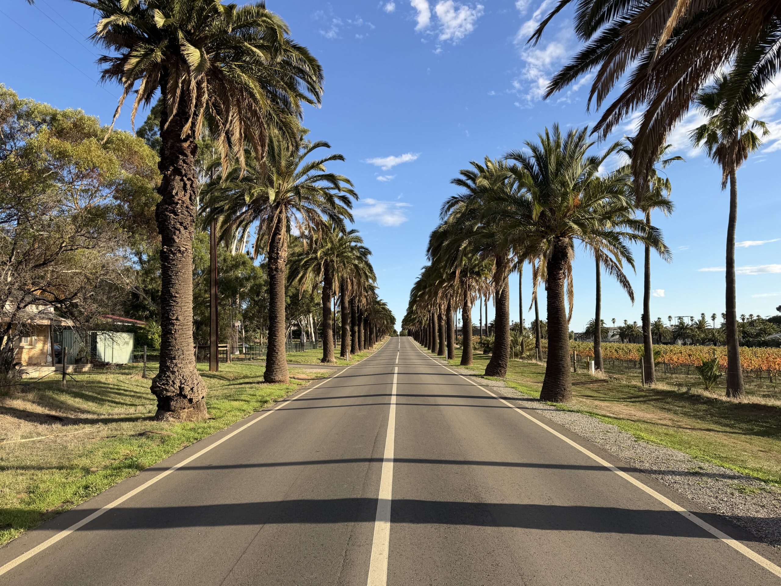 Port Augusta – Seppeltsfield (Barossa Valley)