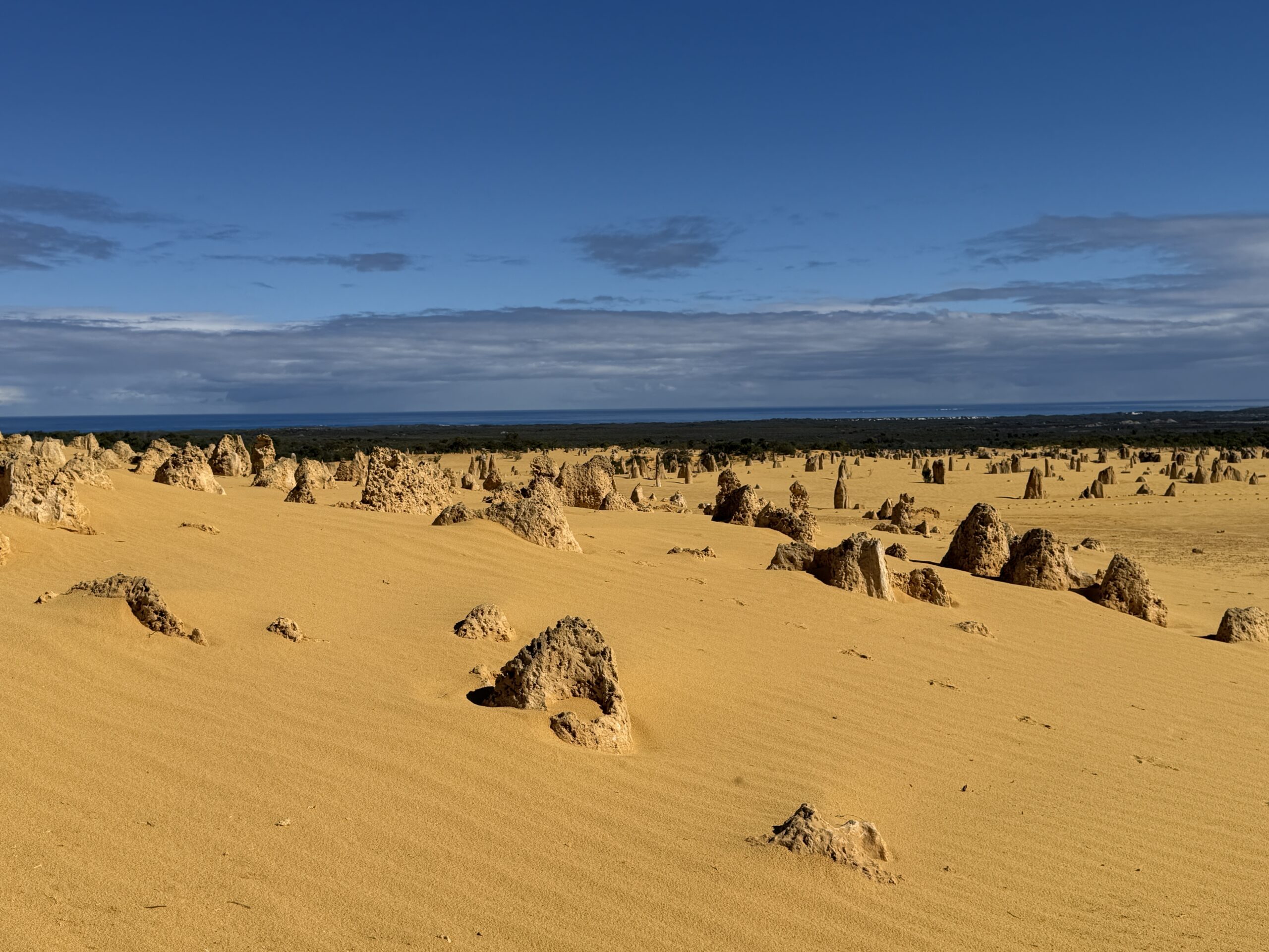 Jurien Bay – Pinnacles Desert – Ledge Point